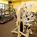 Pittsburgh Airport Marriott::ProfessionalTravelGuide.com