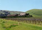 GLORIA FERRAR CHAMPAGNE CAVES