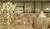 Wyndham Boston Andover::Orbitz