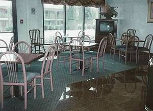 Web-41759_2_b