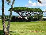 Hilo Municipal Golf Course