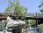 Knott's Berry Farm::ThrillNetwork.com