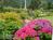 New England House::BedAndBreakfast.com