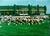 Super 8 Motel - Green Bay::Priceline.com