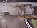 Museum of The Middle Appalachians