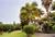 Areca Palms Estate Bed and Breakfast::TripAdvisor