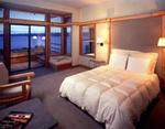 Tn-3816_b2