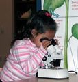 Wildlife Experience Museum