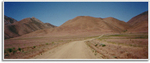 Tn-onion_landscape