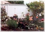 Cornelius Daly Inn