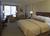 Hilton Arlington::ProfessionalTravelGuide.com