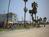 Venice Beach Suites And Hotel from Expedia