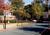 Residence Inn by Marriott Atlanta Dunwoody from ProfessionalTravelGuide.com