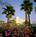 Embassy Suites Tampa - USF/Near Busch Gardens::Expedia