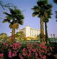 Embassy Suites Tampa - USF/Near Busch Gardens