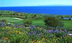 Trump National Golf Course