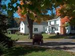 Finger Lakes Wellness Center