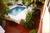 Banyan House B&B::LanierBB.com