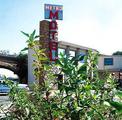Metro Motel::Orbitz