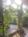Serendipity Inn::TripAdvisor