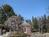 Blue Harbor House Inn::BedAndBreakfast.com