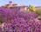 Villa Valdemosa::BedAndBreakfast.com