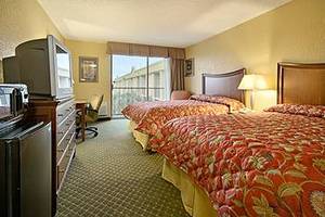 Web-24516_17_b
