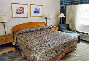 Web-11233_9_b