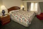 Hilton Garden Inn Springfield