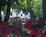 Sunterra Powhatan Plantation::Travelocity