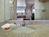 Ramada Limited Baltimore::Orbitz