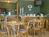Super 8 Motel - Athens::Travelocity.com