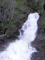 Tn-53644003_bfc27e71a5_m