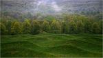 Storm King Art Center