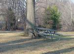College View Neighborhood Park