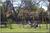 Cordele KOA Kampground::ReserveAmerica.com