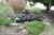 The Inn at Jessie Creek::BedAndBreakfast.com
