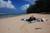 The Palmwood::TripAdvisor