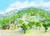 Homestead Cottages::BedAndBreakfast.com