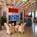 Bilmar Beach Resort::Travelocity.com