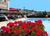 Quality Inn and Suites Evergreen Hotel::Priceline.com