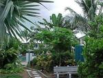 Tn-069043_other_02_f