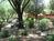 Canyon Ranch::TripAdvisor