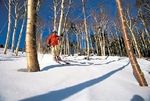 Townhomes At Bretton Woods