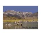 Inyo Mountains Wilderness