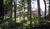 Black Bear Lodge::Priceline.com