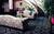 Best Western Sovereign Hotel - Albany::Orbitz