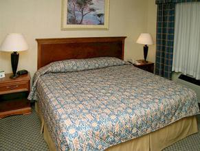 Web-sea_lqfw-rooms-1