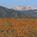 Residence Inn by Marriott Boulder::Orbitz