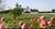 Lillian Farms B&B::BedAndBreakfast.com